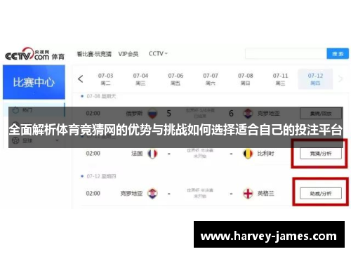 全面解析体育竞猜网的优势与挑战如何选择适合自己的投注平台